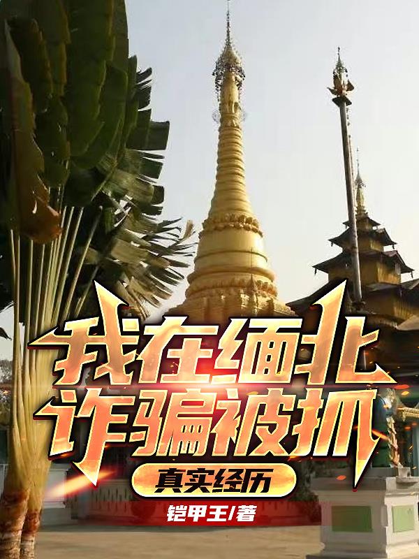我在缅北诈骗被抓,真实经历