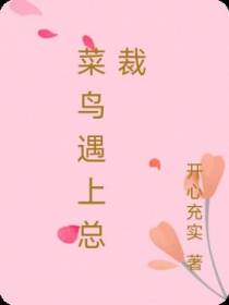 菜鸟遇上总裁