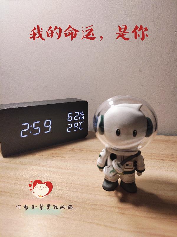 我的命运,是你