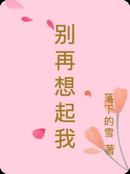 别再想起我