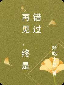 再见,终是错过