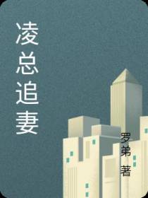 凌总追妻