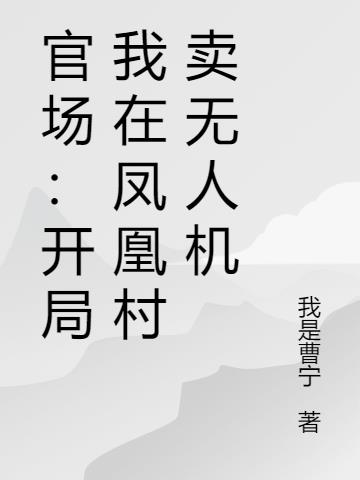官场：开局我在凤凰村卖无人机