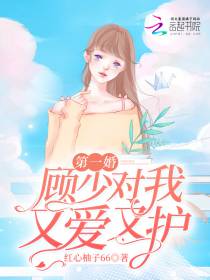 第一婚：顾少对我又爱又护