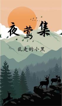 夜莺集