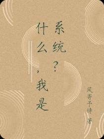 什么,我是系统？