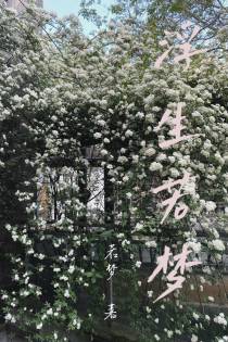 浮生若梦,一执一念
