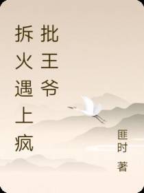 拆火遇上疯批王爷