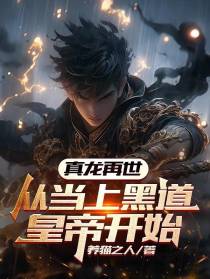真龙再世：从当上黑道皇帝开始