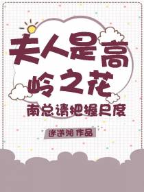 夫人是高岭之花,南总请把握尺度