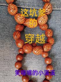 这坑爹的穿越