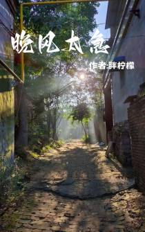 晚风太急