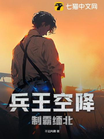 兵王空降,制霸缅北