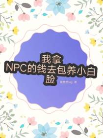 我拿NPC的钱去包养小白脸