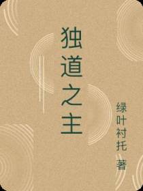 独道之主