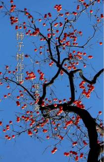 柿子树作证