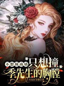 不想撞南墙,只想撞季先生的胸膛