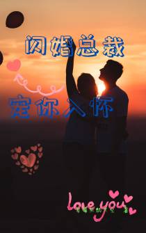 闪婚总裁宠你入怀