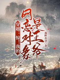 穿越：惊！我的网恋对象是王爷