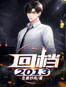 回档：2013