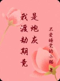 我渡劫期竟是炮灰
