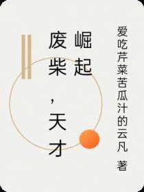 废柴,天才崛起