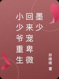 小少爷重生回来宠卑微墨少