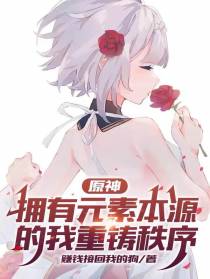 原神：拥有元素本源的我重铸秩序