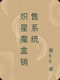 炽星魔盒销售系统