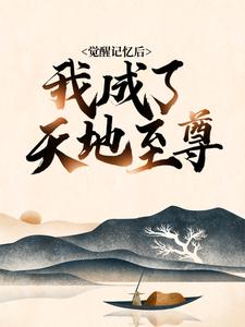 小说觉醒记忆后，我成了天地至尊
