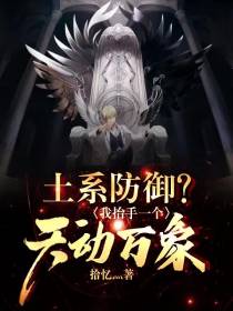 土系防御？我抬手一个天动万象！