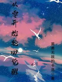 从零开始轮回觉醒