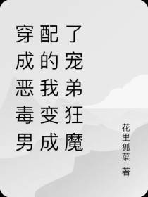 穿成恶毒男配的我变成了宠弟狂魔