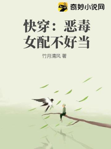 快穿：恶毒女配不好当
