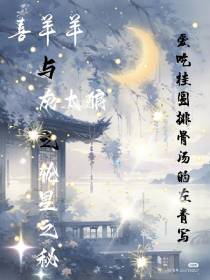 喜洋洋之轮星之秘