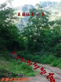 悲凄少年逆袭副市长