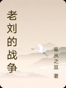 傻子刘老大的战争