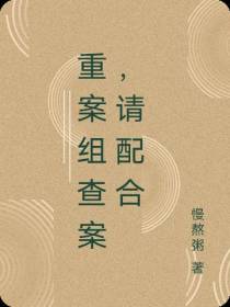 重案组查案,请配合