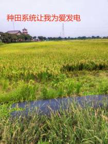 种田系统让我为爱发电