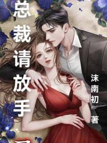 总裁请放手