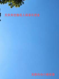 天灾末世我在人间享乐偷生
