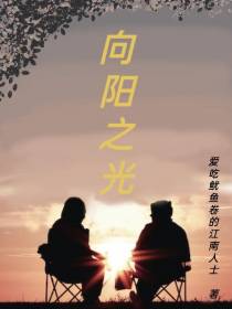 向阳之光