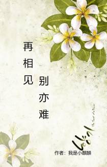 再相见,别亦难