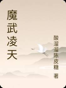 魔武凌天