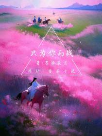 只为你而战