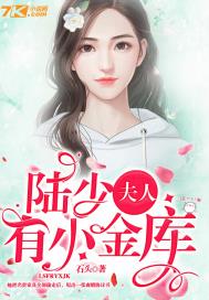 陆少,夫人有小金库