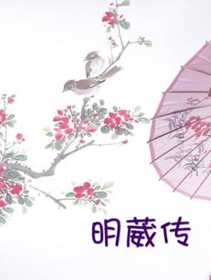 天降奇缘