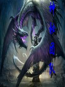 神秘团队初