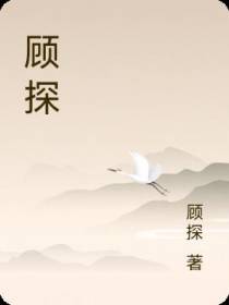 顾探