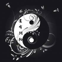 道有阴阳